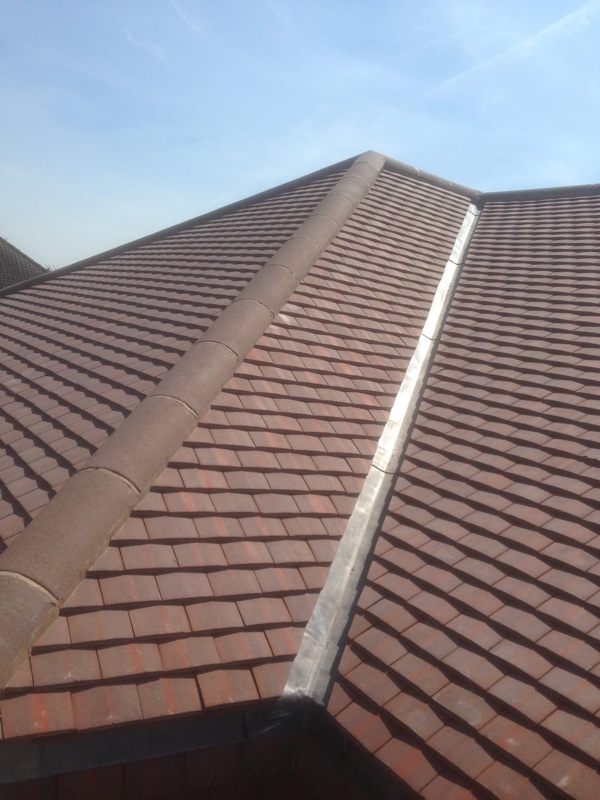 Stacks Image 833